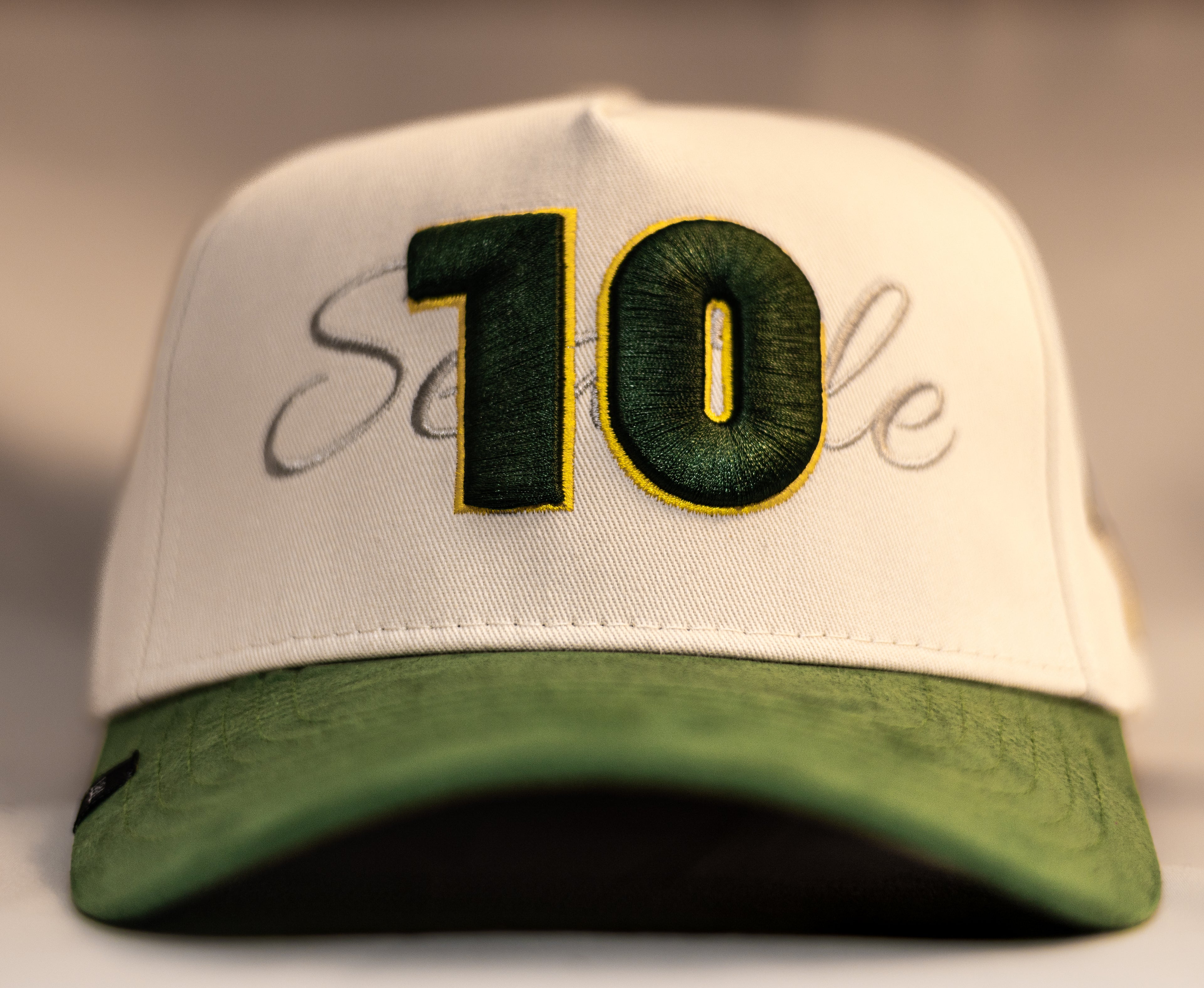 Seattle NO Inner Lining Collage